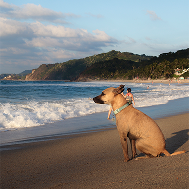 Fotografía conceptual